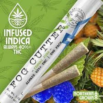 Fog Cutter | 2 Pack 0.5g Fenway Funk Infused Prerolls