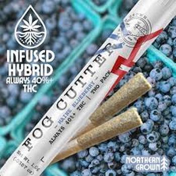 Fog Cutter | 2 Pack 0.5g Maine Blueberry Infused Prerolls