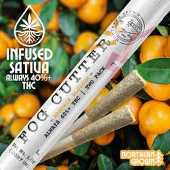 Fog Cutter | 2 Pack 0.5g Mandarin Blossom Infused Prerolls