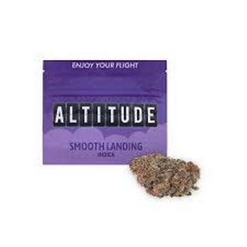 Altitude | 3.5g Governmint Oasis Flower