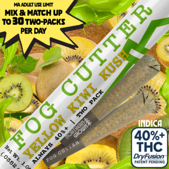 Fog Cutter | 2 Pack 0.5g Yellow Kiwi Kush Infused Prerolls