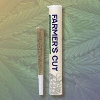 Farmer's Cut | 1g Gastro Pop #4 Preroll