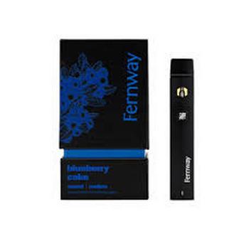 Fernway | 2g Blueberry Cake Disposable 