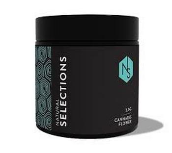 Natural Selections | 3.5g Cranberry Z Flower