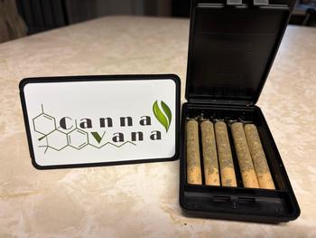 CannaVana | 5 Pack 1g Gastropop Prerolls (5g total)