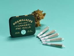 Dogwalkers | 5 Pack 0.35g Garlic Drip Prerolls