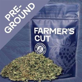 Farmer's Cut | 14g Strawberry Bubble Yum Pre-Ground