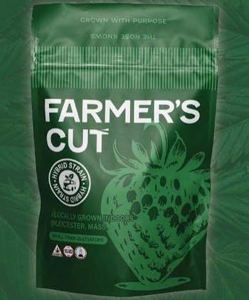 Farmer's Cut | 14g Rancid Rainbow Flower