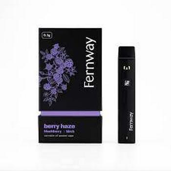 Fernway | 2g Berry Haze Disposable 