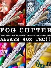 Fog Cutter | 2 Pack 0.5g Peach Nectar Infused Prerolls