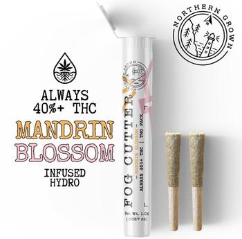 Fog Cutter | 2 Pack 0.5g Mandarin Blossom Infused Prerolls