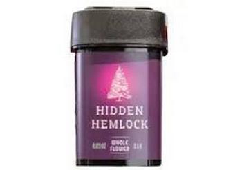 Hidden Hemlock | 3.5g Mac Stomper Flower