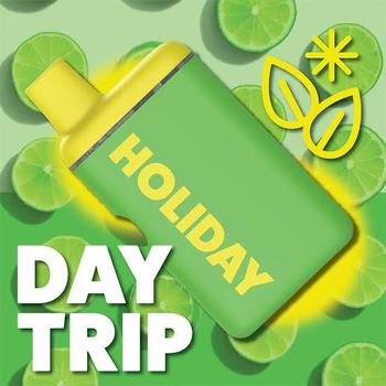 Holiday | 1g Day Trip Disposable 