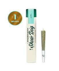 Dogwalkers | 1g Brownie Scout Diamond Infused Preroll