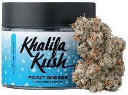 Khalifa Kush | 3.5g Point Breeze Flower