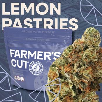 Farmer's Cut | 3.5g Lemon Pastries Flower