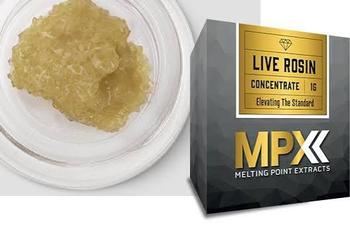 MPX | 1g Purple Platypus Live Rosin