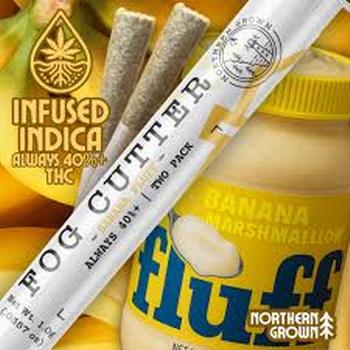 Fog Cutter | 2 Pack 0.5g Banana Fluff Infused Prerolls