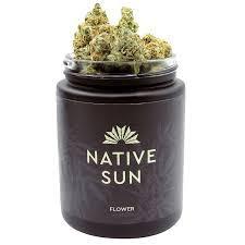 Native Sun | 3.5g Pineapple Express Flower