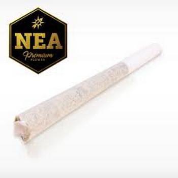 NEA Premium | 1g Pool Party Preroll