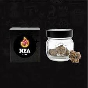 NEA Fire | 3.5g Animal Mints Small Flower 