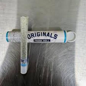Originals | 1g Jack Herer Preroll