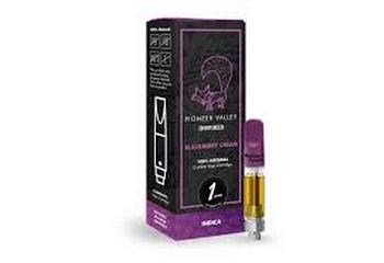 Pioneer Valley | 1g Blackberry Cream Distillate Cartridge 