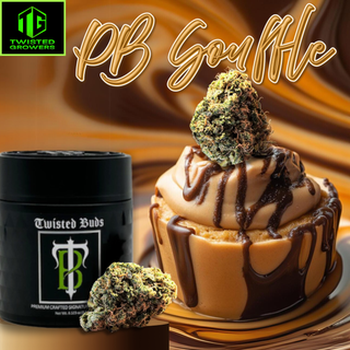 Twisted | 3.5g Peanut Butter Souffle Flower 