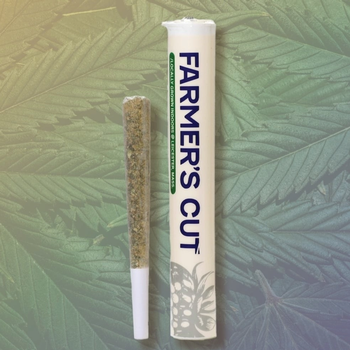 Farmer's Cut | 1g Grape Stardust Preroll