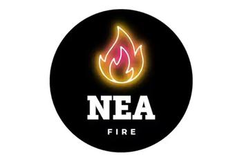 NEA Fire | 3.5g Black Ice Flower 