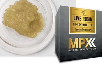 MPX | 1g Gravy Boat Live Rosin