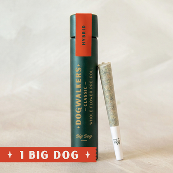 Dogwalkers | 0.75g Runtz Cake Preroll