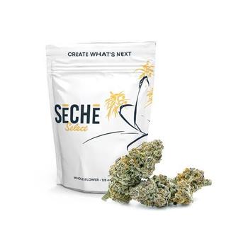 Seche | 3.5g Nitromethane Flower