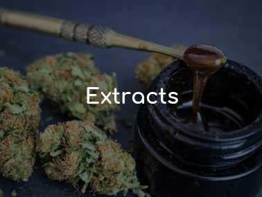 CannaVana : Best Marijuana Dispensary Rockland, MA