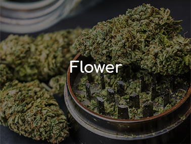 CannaVana : Best Marijuana Dispensary Rockland, MA