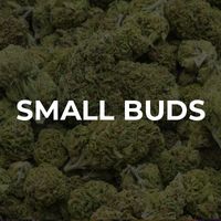 Small Buds