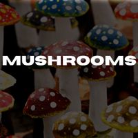 Mushroom Products