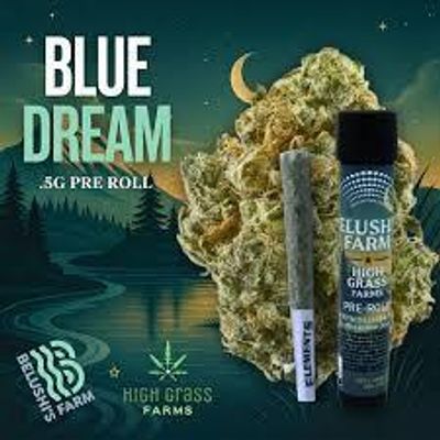 Blue Dream | Pre Roll | 1ct | .5g