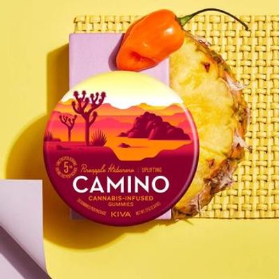 Camino | Gummy | 100MG | 20pc | Uplifting | Pineapple Habanero | Sativa