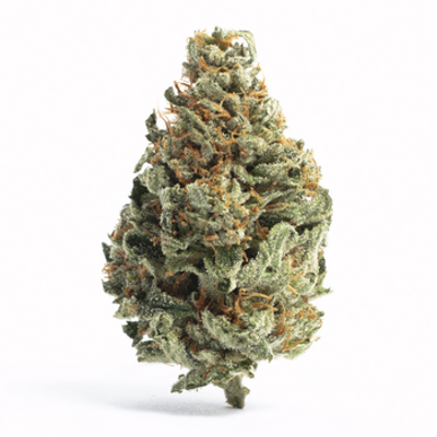 Bouket | Flower | Bouket Noir Large Bud - 3.5g - Indoor | 28.3% Indica