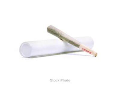 Apollo | Pre roll | 1G | Super Boof | 24.06% | Hybrid