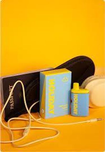 holiday happy camper disposable vape Select Disposable Cannabis Vapes: DC's Premium 2g & 1g Options main image 0