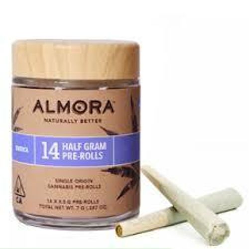 Almora Farm: 0.5g Pre Roll 14 pack: Governmint Oasis [I]