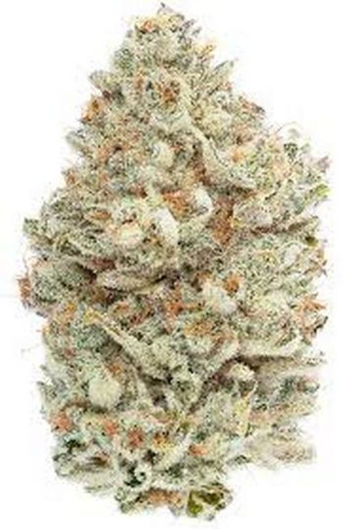 Cannabiotix - Cereal Milk - 3.5g