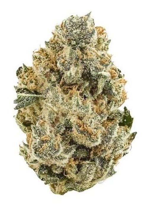 Fig Farms - Strawberry Guava 8th (3.5g)