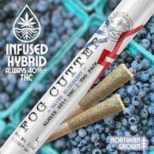 Fog Cutter | 2 Pack 0.5g Maine Blueberry Infused Prerolls