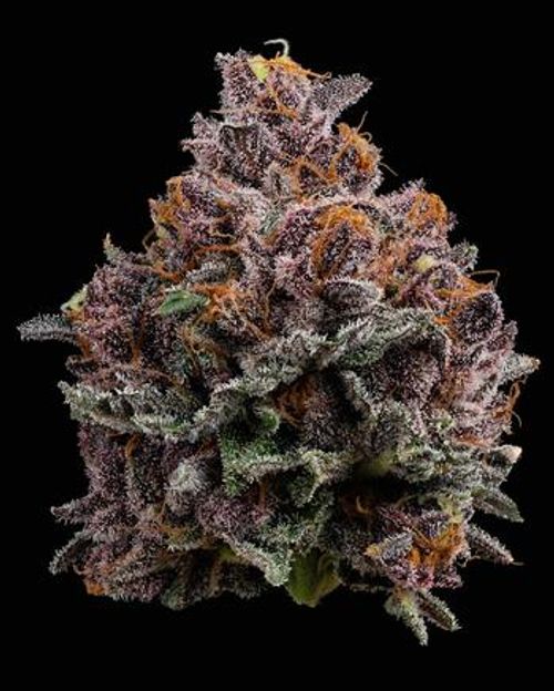 U4EA Farms | 3.5g Cherry Whip Flower