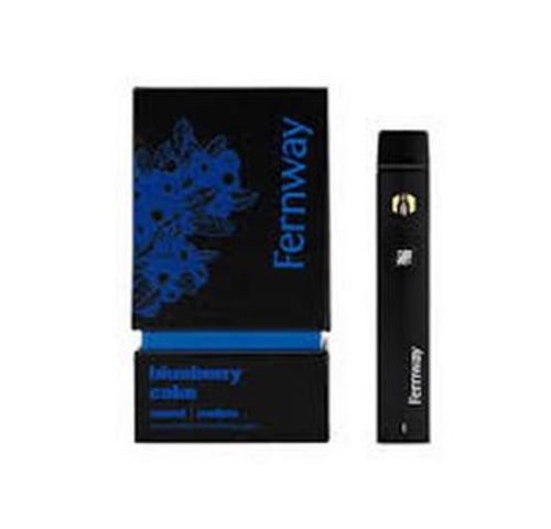 Fernway | 2g Blueberry Cake Disposable 