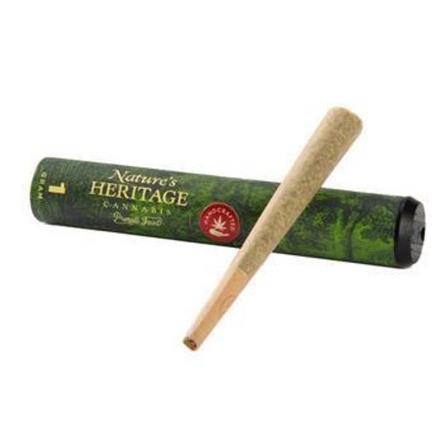 Nature's Heritage | 1g The Big Smooth PreRoll