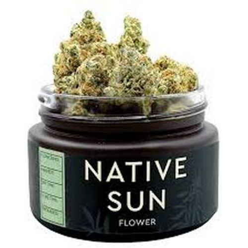 Native Sun | 3.5g DX4 Flower 